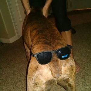 Meet your Posher, Dylan